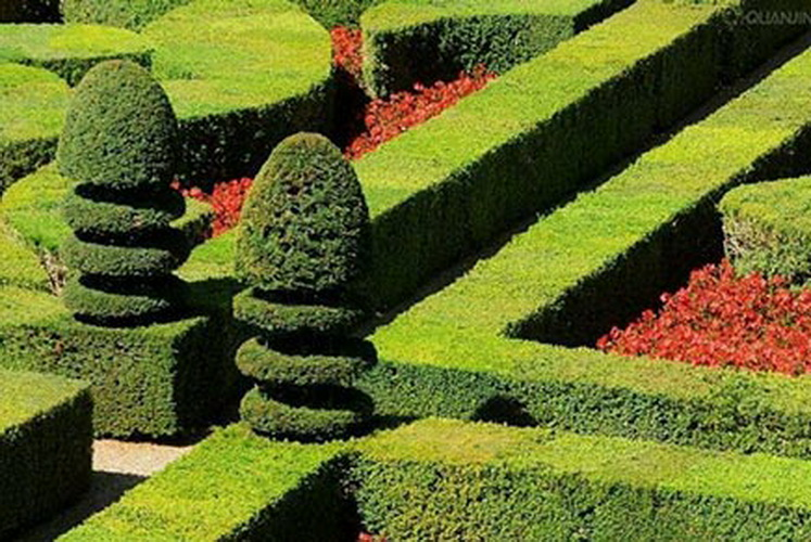 beat·365(中国)唯一官方网站