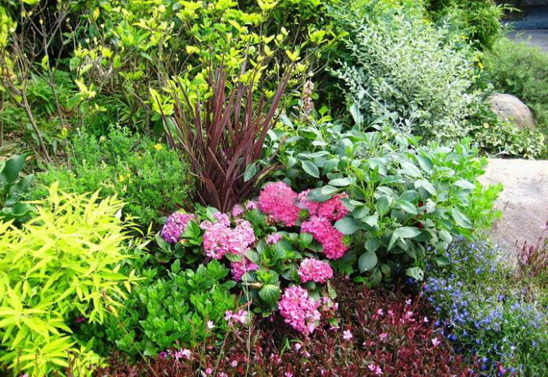 beat·365(中国)唯一官方网站