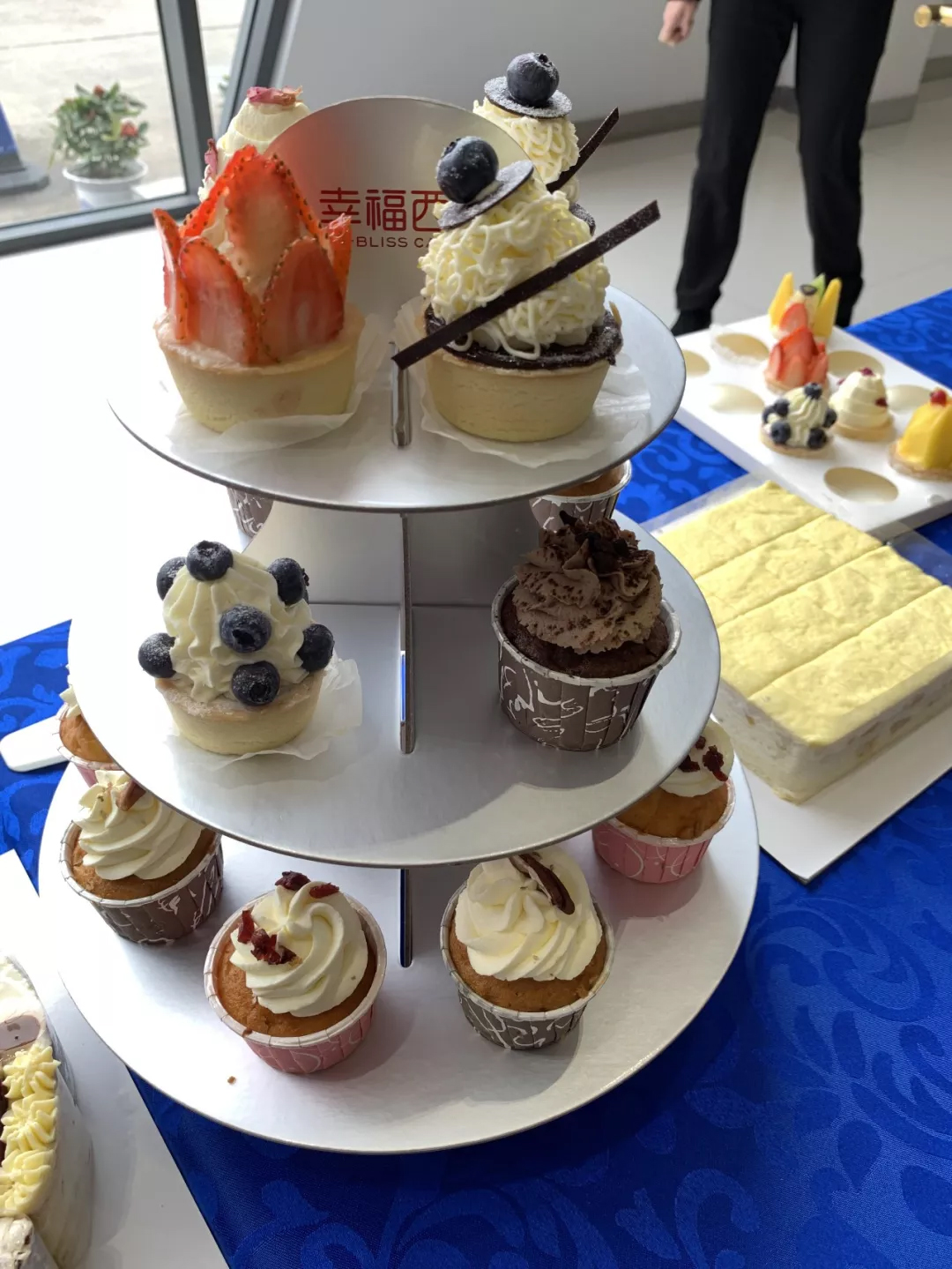 尊龙凯时·(中国游)官方网站